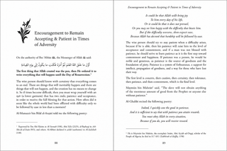 Selections from The Garden of the Wise and The Meadow of the Virtuous | Abu Hatim Ibn Hibban | Islamic Character & Manners Book