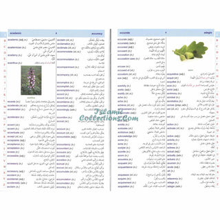 Dictionary Al Kafi Double English, Arabic & Arabic English