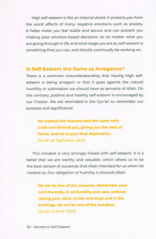 Secrets to Self Esteem | Afshan khan