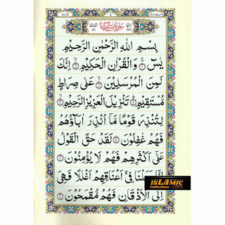 Sura Yaseen Medium Size (large Words )Persian ,Pakistani ,Indian Script,Ref 77A