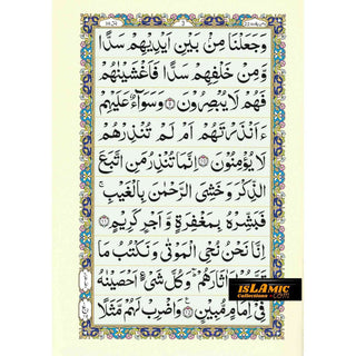 Sura Yaseen Medium Size (large Words )Persian ,Pakistani ,Indian Script,Ref 77A