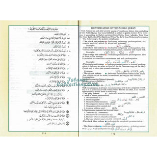 Tajweed Quran from Al-Ahqaf to Al-Nas Large 17x24 CM