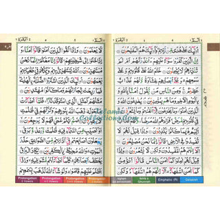 Tajweed Quran Arabic Only Indo-Pak (Pakistani-Indian-Persian script) 12x17 CM