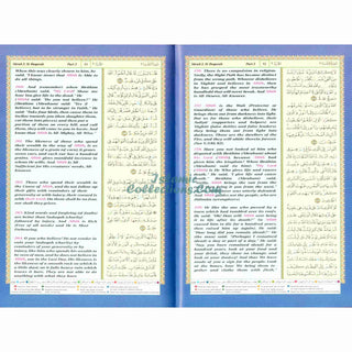 Translation of the Meanings of The Noble Quran in the English Language Tajweed Quran